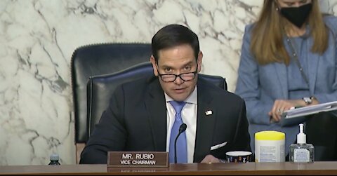 Vice Chair Rubio Questions Nominee Shannon Corless at Senate Intel Hearing