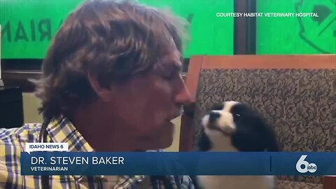 Habitat Veterinarian sings "Howlelujah" to comfort puppy