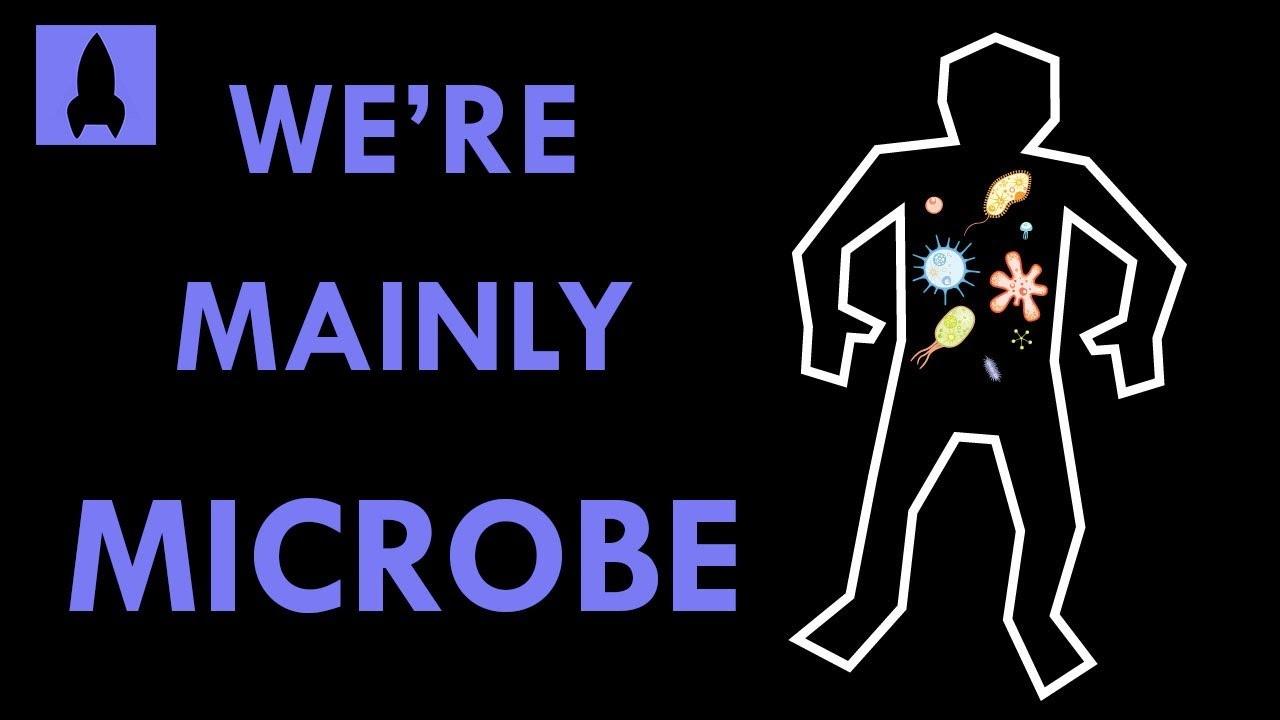 We're Mainly Microbe: Meet Your Microbiome