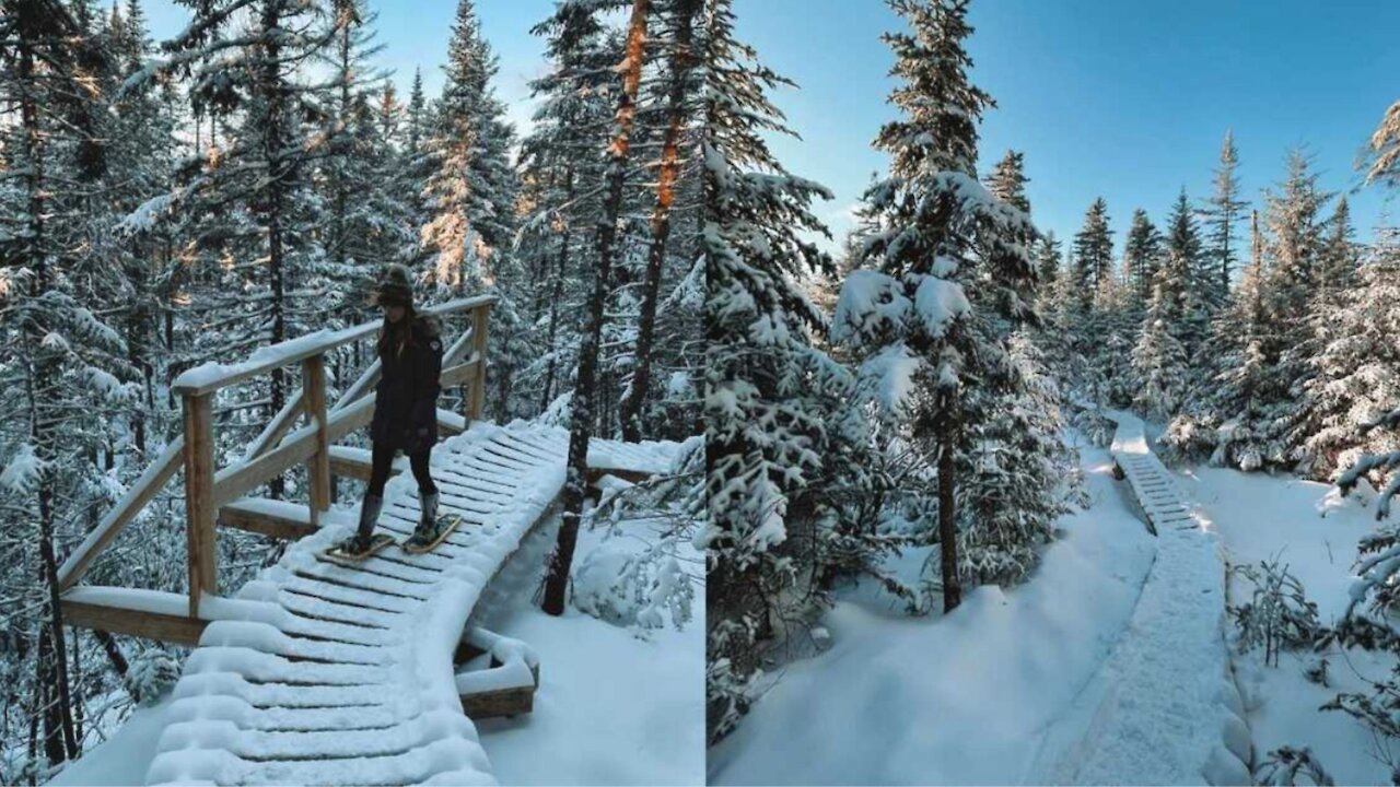 Cette passerelle près de Québec t'en mettra plein la vue avec son décor enchanteur