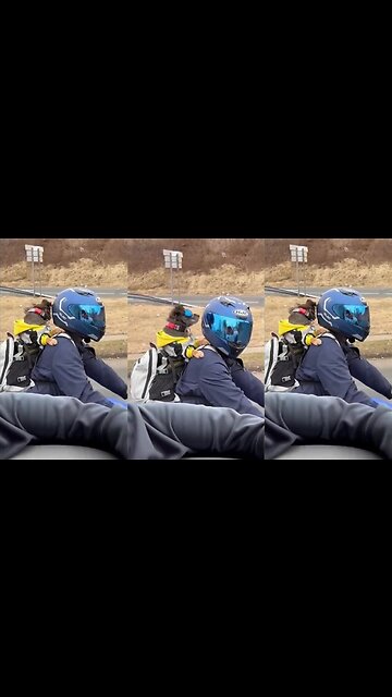 Dog rides on his owner's back on the motorcycle.