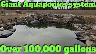 Huge aquaponics system update (duckponics) and ostrich farm [over100,000 gallons] #aquaponics