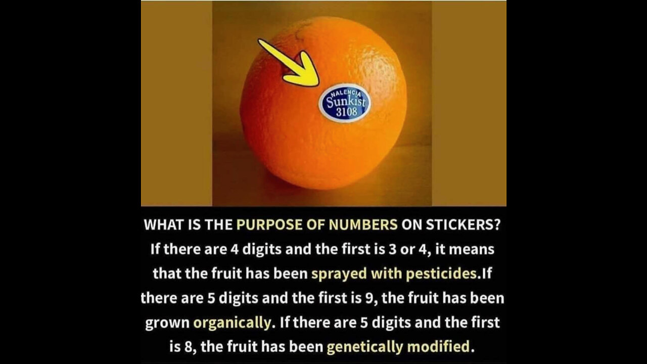 De-coding our Food & 13 Common GMO Foods to Know