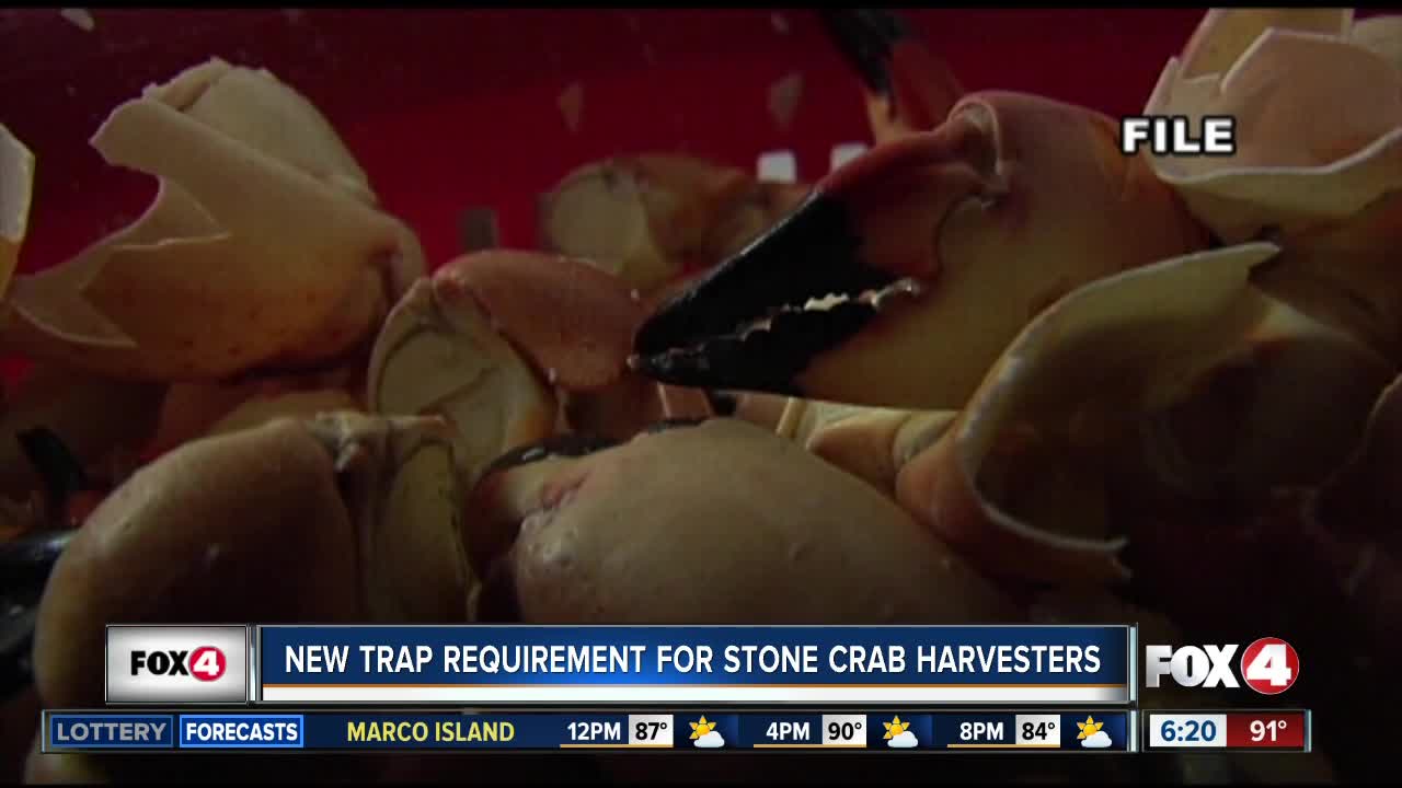 New recreational regulation for stone crab traps this season