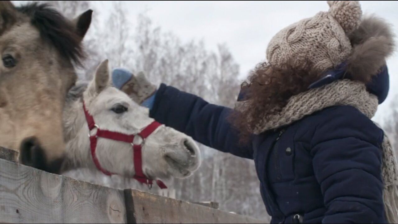 play with horses