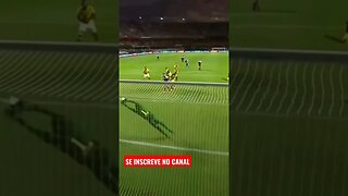 ⚽ Goleiro Alex Alves do São Bernardo faz grande defesa em cabeçada do atacante Luciano, Confira ⚽