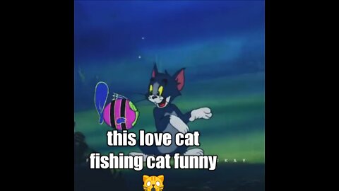 funny cat fishing funny !! now upload