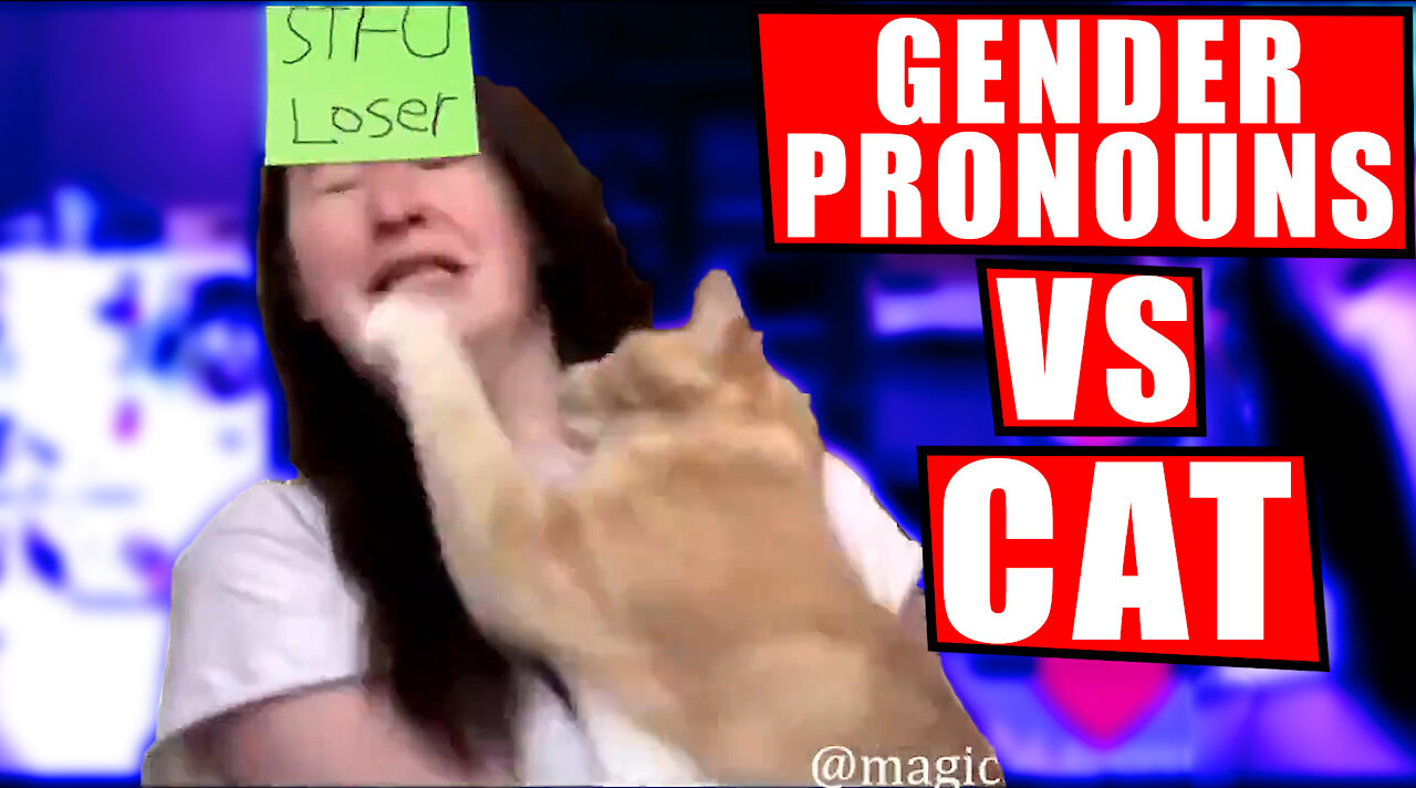 Cat Doesn't Agree with Owner's Use of Gender Pronouns and Slaps Owner for Using Them