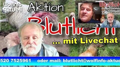 Trailer Livestream