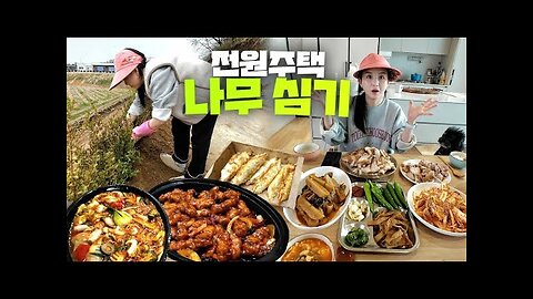 Planting Trees with Family at the Country House! Suyuk, Yangjangpi, Palbochae, Feast Mukbang🍴