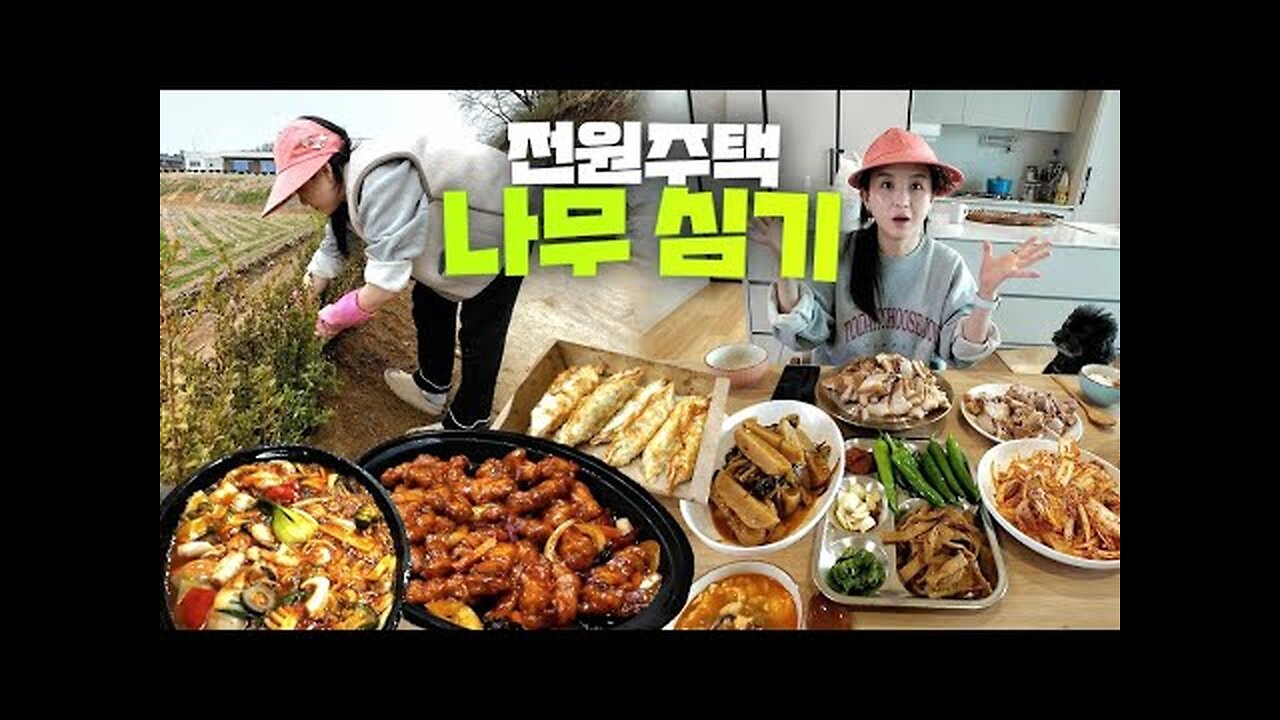 Planting Trees with Family at the Country House! Suyuk, Yangjangpi, Palbochae, Feast Mukbang🍴