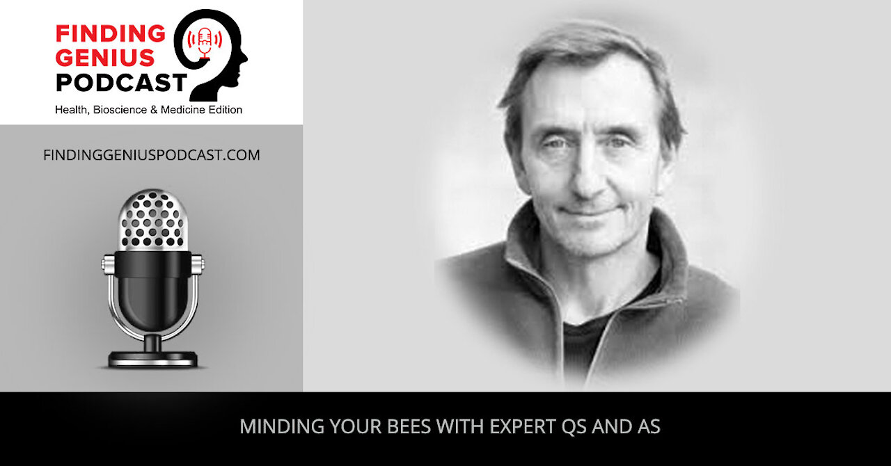 Minding Your Bees with Expert Qs and As