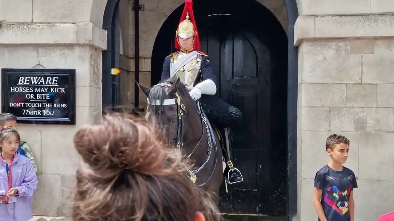 Guard tells tourist to get back when horse jolts forward #horseguardsparade
