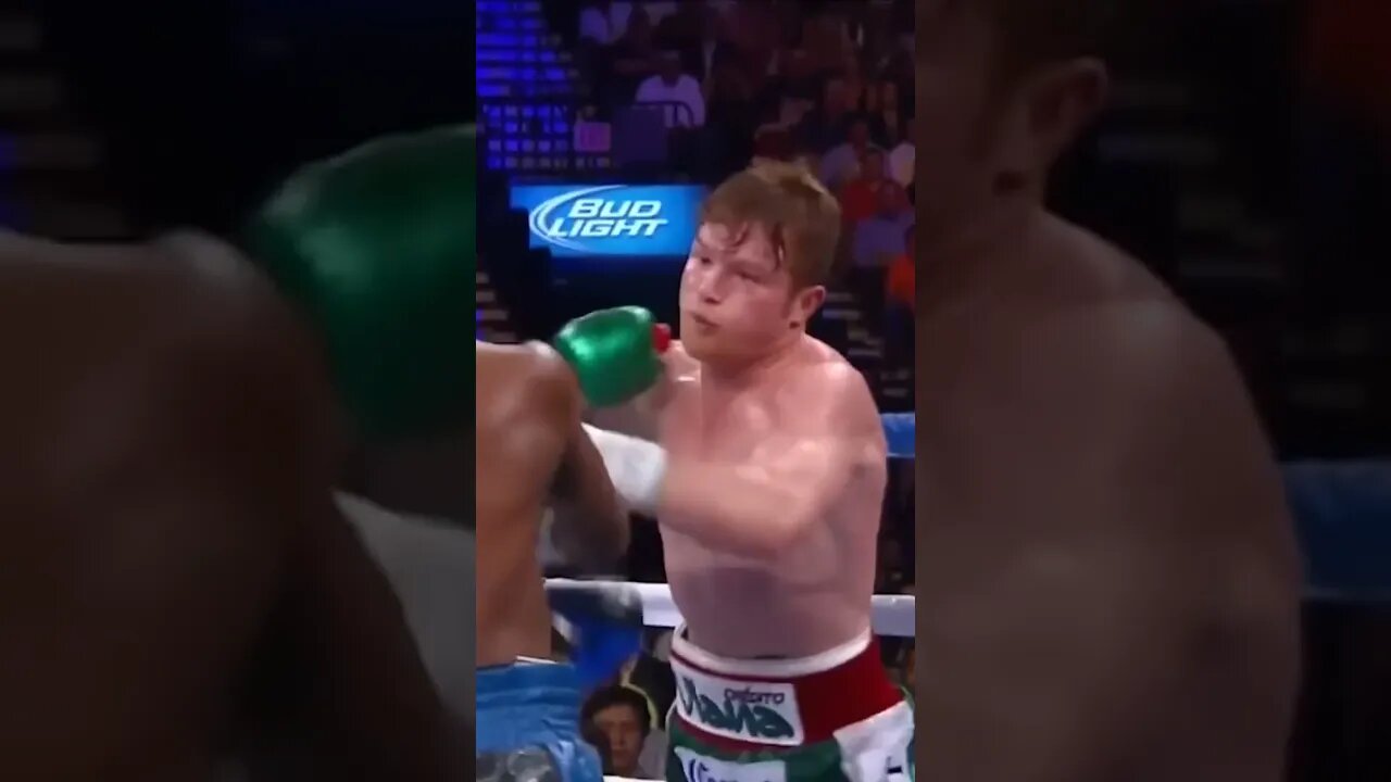 Canelo Alvarez Mexico vs Floyd Mayweather USA BOXING fight, HD