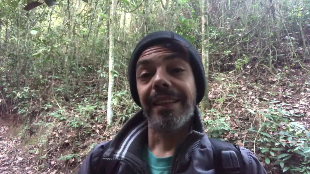 Opinião sobre a inelegibilidade de Bolsonaro #bolsonaro