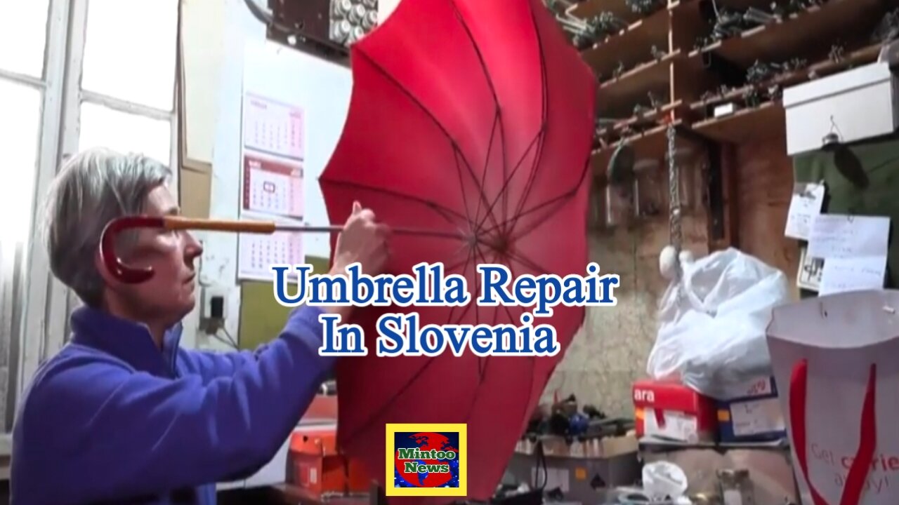 Slovenian woman owns Ljubljana’s last umbrella repair shop