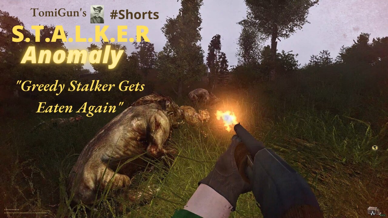 Greedy Stalker Gets Eaten Again (S.T.A.L.K.E.R Anomaly) #Shorts