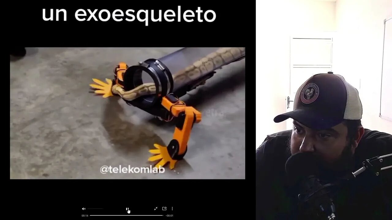 Profecia se cumprindo - A antiga serpente vai voltar a andar - Disco voador - UFO OVNIs