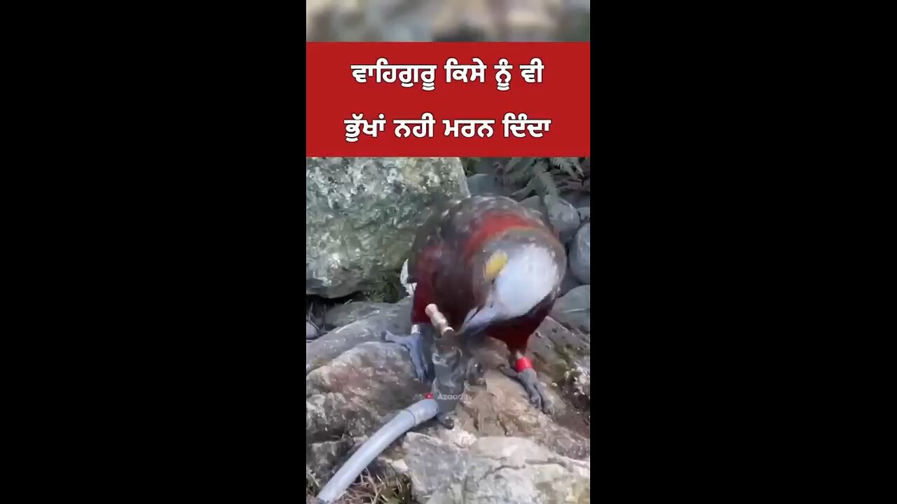 very beautiful