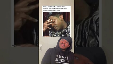 Meme Of The Day