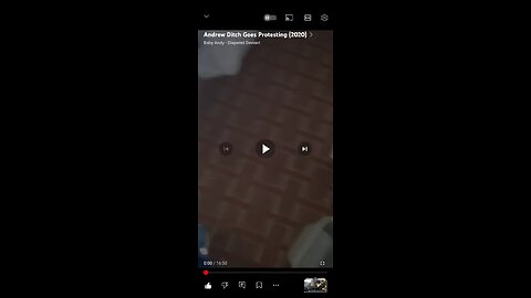 diaperchan arguing with a cop