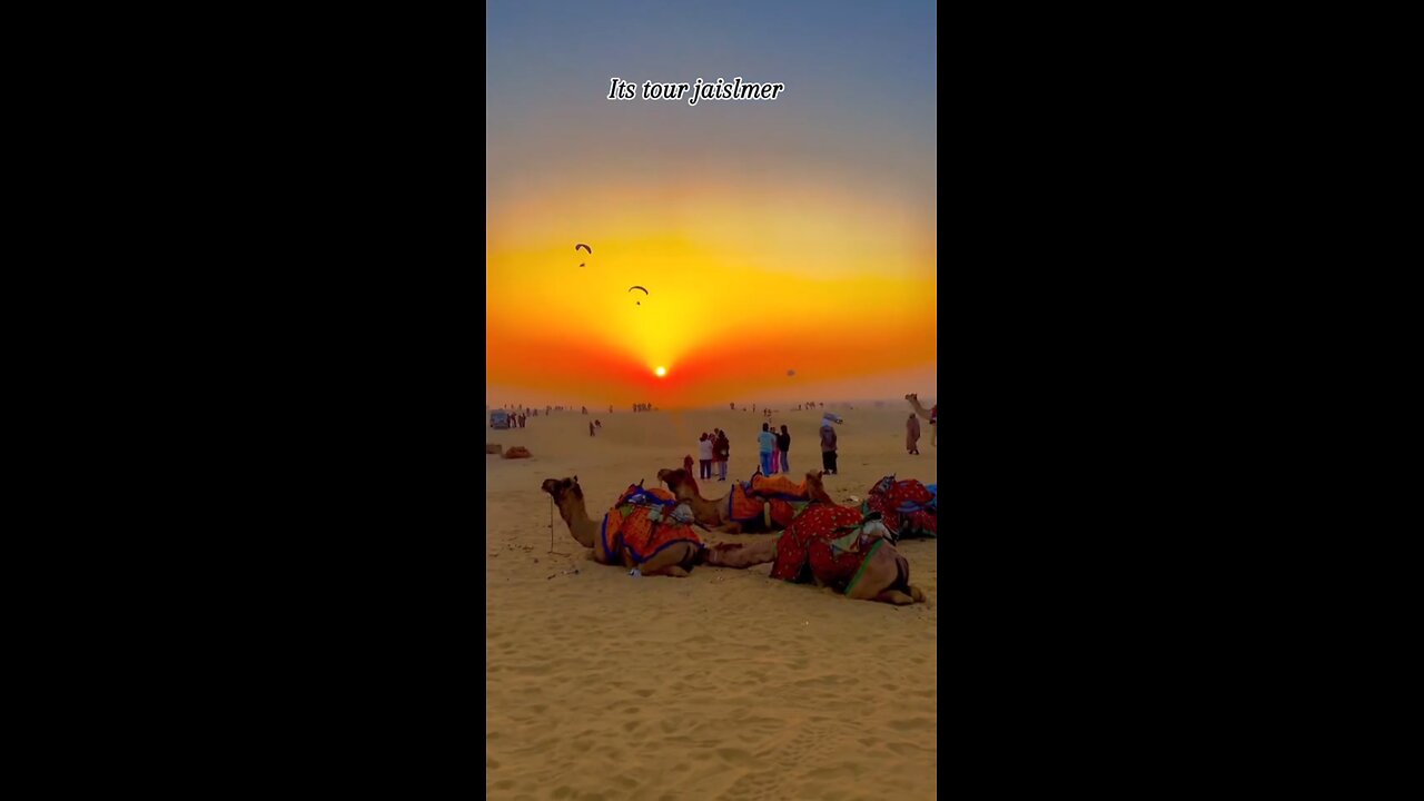 desert Safari Jaisalmer with sunset