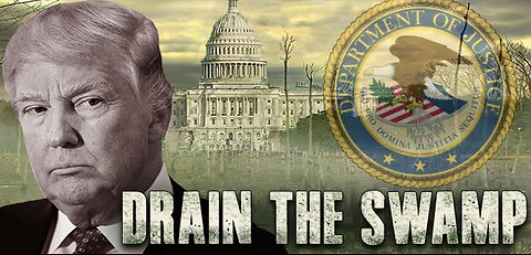 Drain The Swamp- Cat News