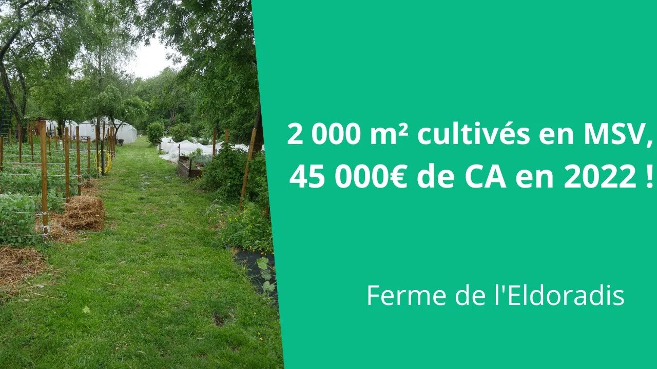 La ferme de l'ELDORADIS : 2 000 m² cultivés en MSV, 45 000€ CA dès la 3ème année !