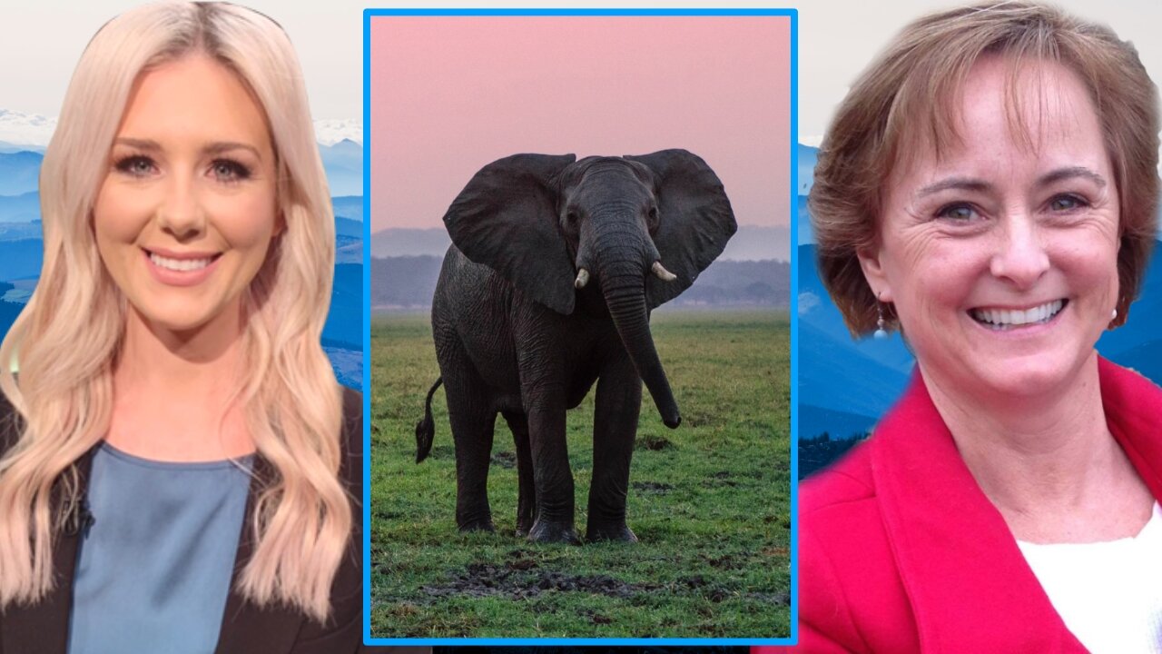 Kim Robinson: I Saw An Elephant Doing This In Heaven! | Aug 26 2022