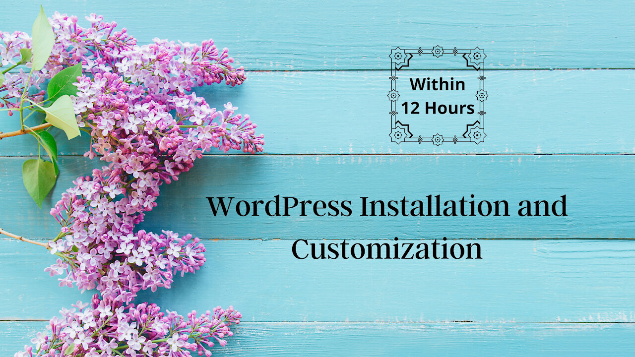 I will install WordPress, set up a theme, do customization within 12 Hours.