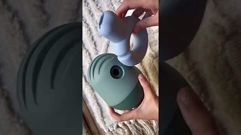 Dogs, Dogsvideos 58