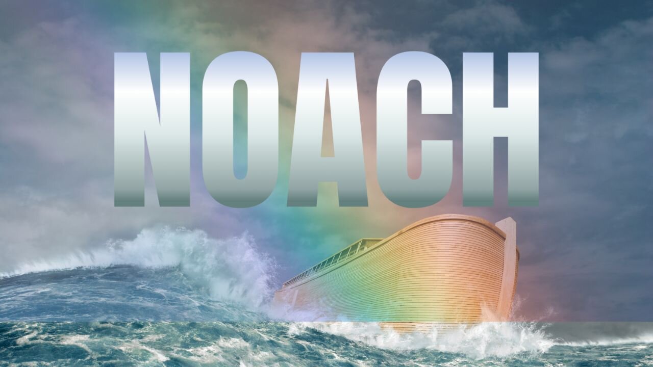 Noach / Noah For Littles