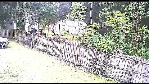 Surveillance Video: Foul play suspected in death of three people, house fire in Hillsborough