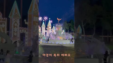 반려견 동반 바베큐 파티와 공연 #반려견브이로그 #반려견 #강아지사랑 #강아지일상