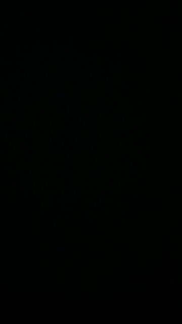 New Hampshire primary