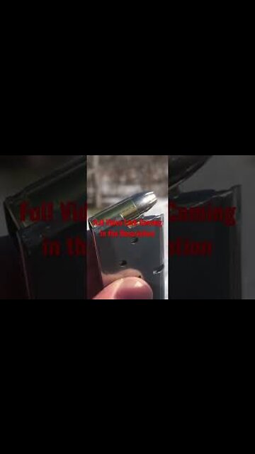 Extreme Firearm Sig Sauer (P938)