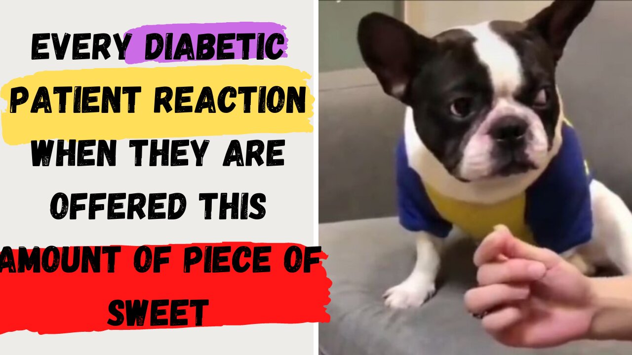 DIABETIC patients REACTION when they are OFFERED this amount of SWEET🤣#funnydog #viralvideos