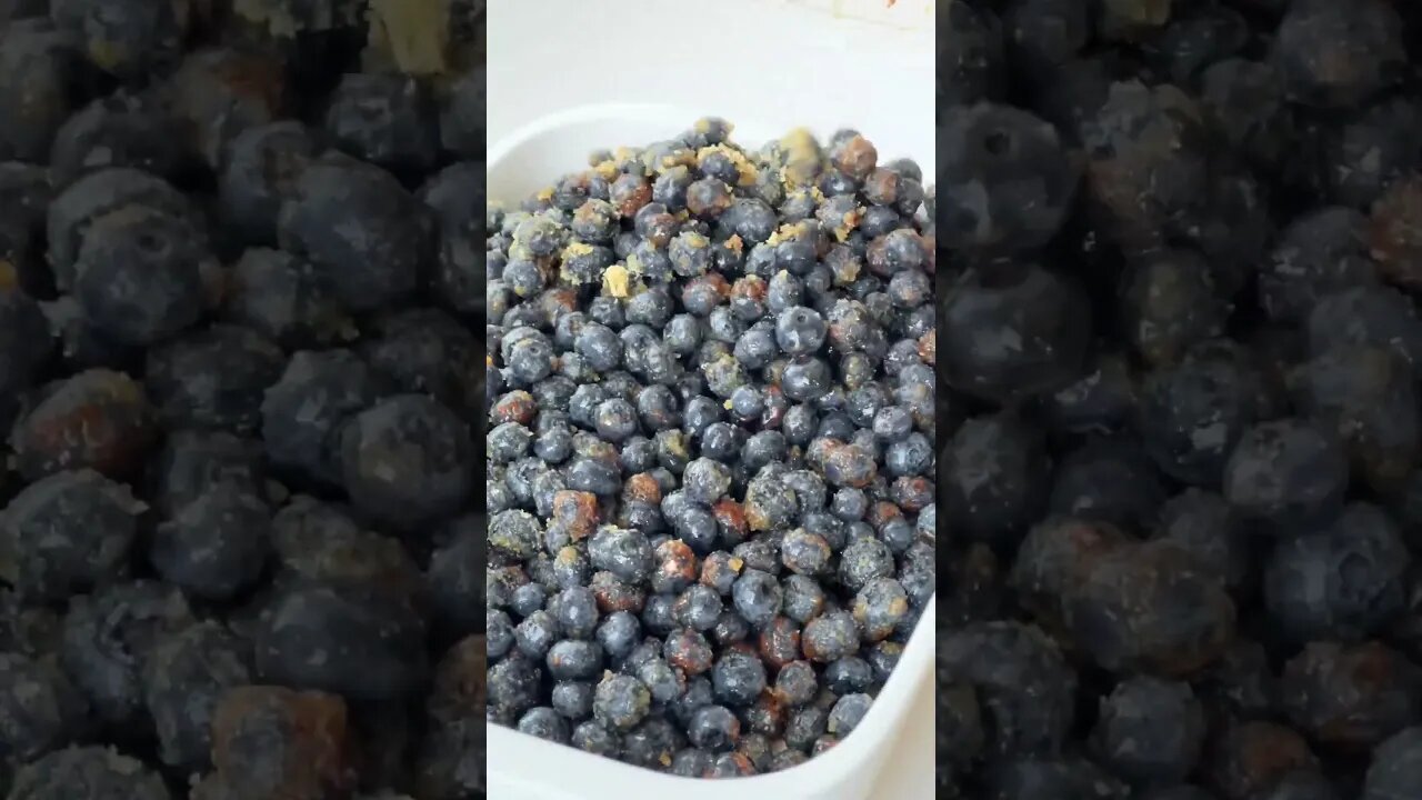 Homemade Double Blueberry Crisp