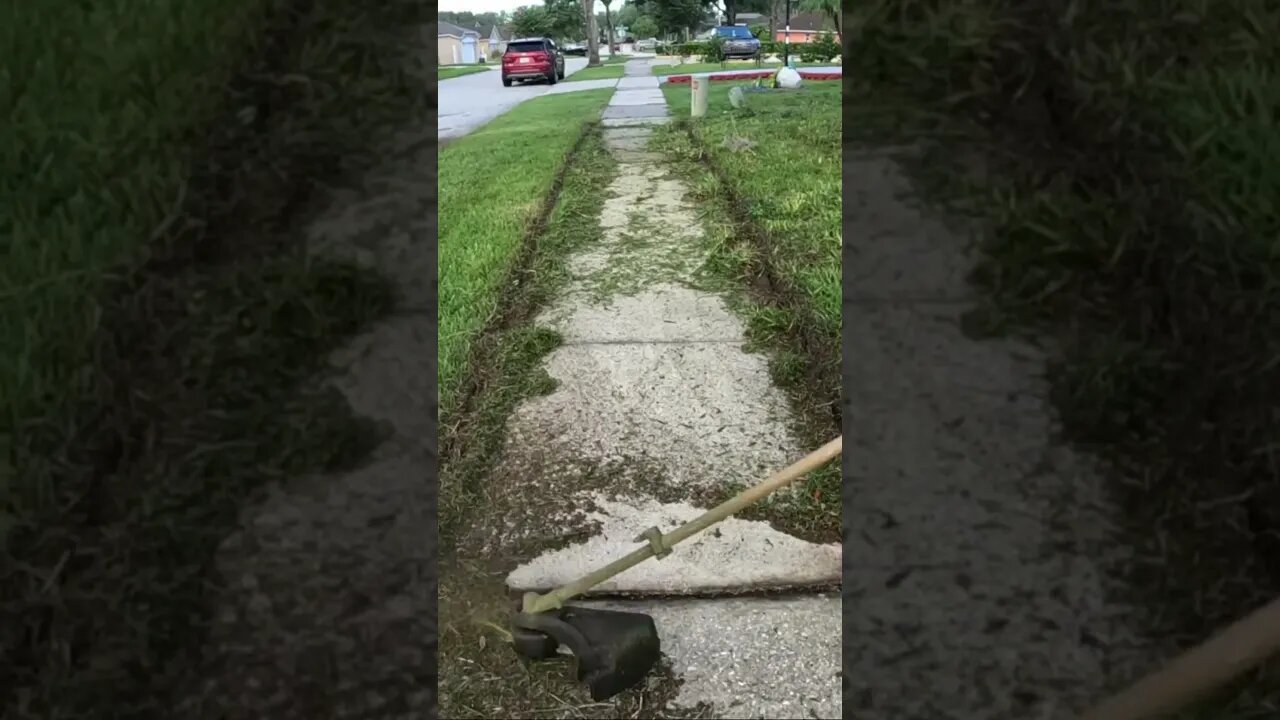Overgrown sidewalk edges clean up.