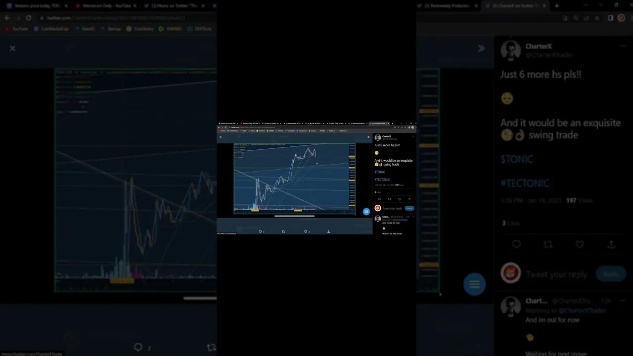 TECTONIC CRONOS 1000X IN THE BULL CYCLE!!!