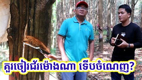 គួចៀរជ័ម៉ោងណា ទើបចំណេញ?