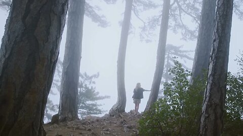 Nature Short | Woodlands | 24fps