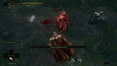 Elden Ring - Eleonora's Poleblade Dance - Co-operator (Bandit) PC