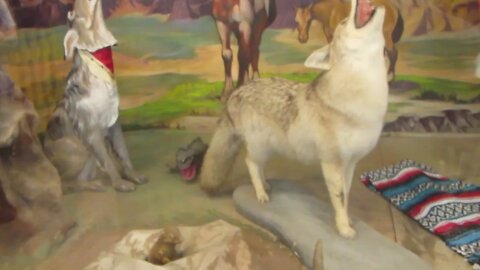 Wall Drug "Quartet"
