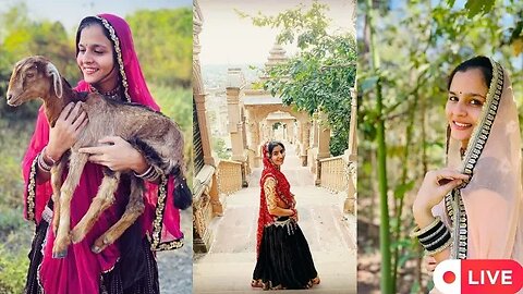 RAJASTHANI CULTURE SONG 🥰 New trending Rajasthani song. Instagram reels. #instagram #reels.