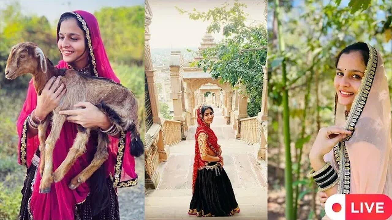 RAJASTHANI CULTURE SONG 🥰 New trending Rajasthani song. Instagram reels. #instagram #reels.