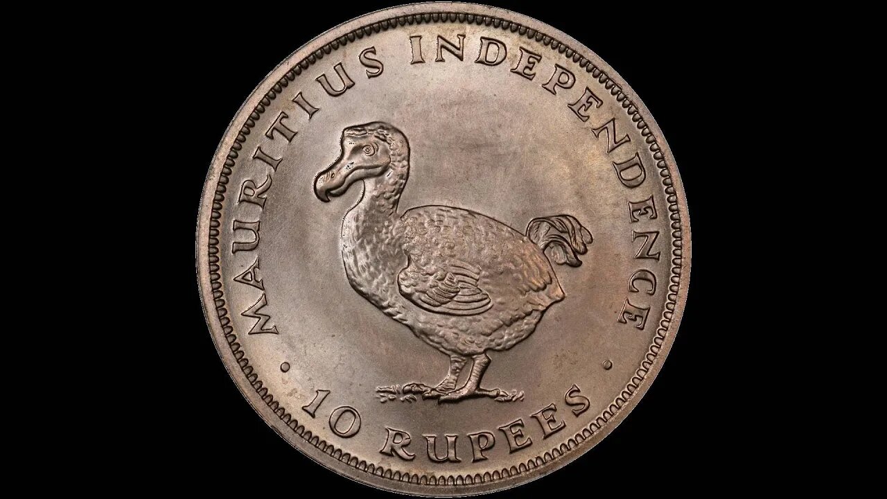 Coin & Round Design Election: 7th Vote