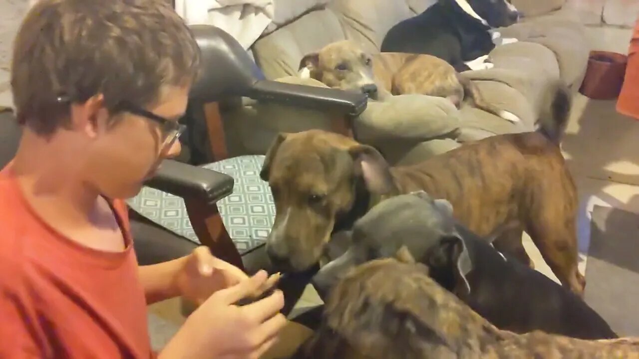 Breakfast with 10 Pits 🐾 and Another Joke