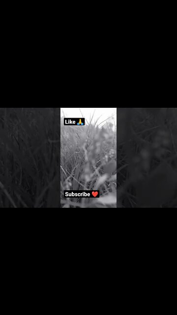 remix 🙏☺️shorts,#shorts,joke fun shorts,minecraft shorts,short,joke fun shorts youts #shorts