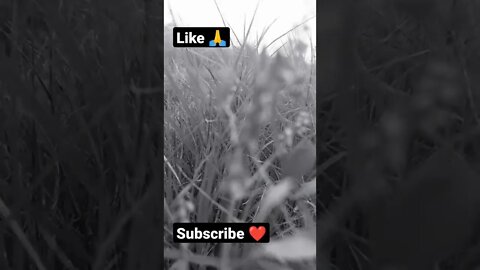 remix 🙏☺️shorts,#shorts,joke fun shorts,minecraft shorts,short,joke fun shorts youts #shorts